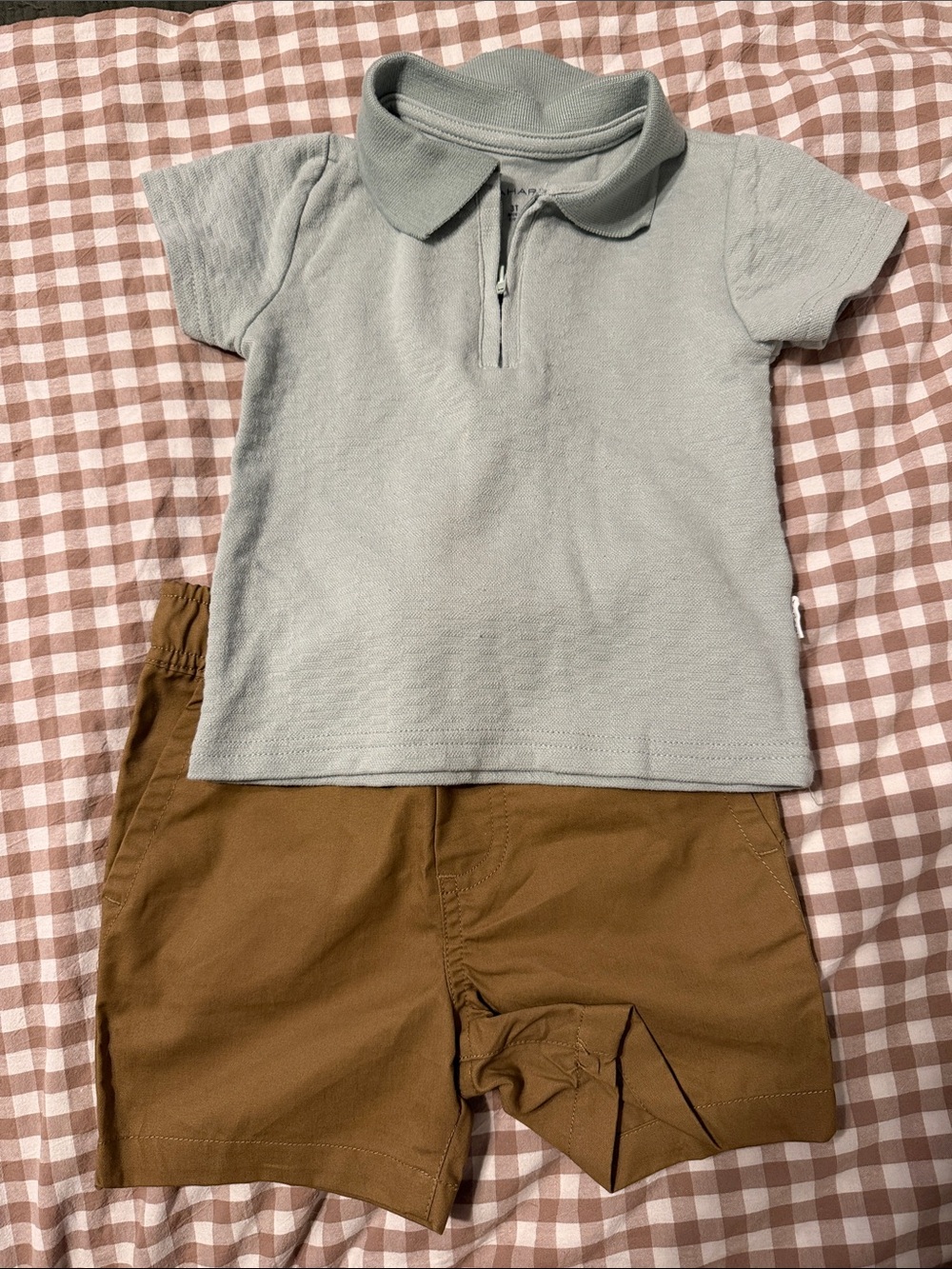 Tahari Light Sage Green Short-Sleeve Polo Top